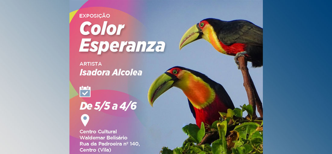 EXPOSIÇÃO "Color Esperanza"